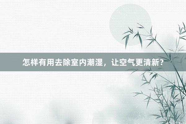怎样有用去除室内潮湿，让空气更清新？